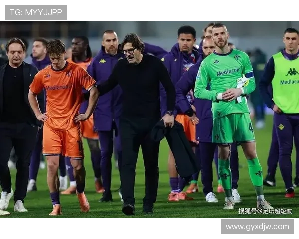 佛罗伦萨轮换在即范奥利大调整